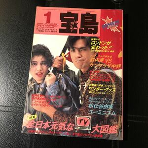 音楽 雑誌「宝島 1986年 1月号」中古 佐野元春 忌野清志郎 エコーズ ウィラード ラフィン・ノーズ 松任谷由実