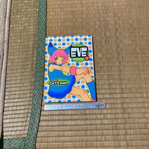 同人誌　EVE8 ドリームシップ