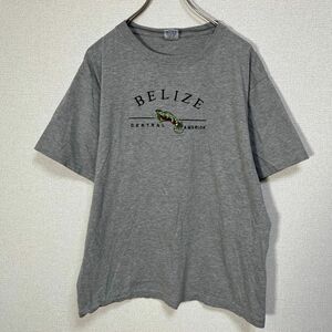 は虫類　半袖Tシャツ　イグアナ　刺繍　トカゲ　グレー　デカロゴYA 古着　入手困難　激レア　希少 人気　ビッグロゴ belize　アマゾン