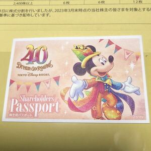 東京ディズニーリゾート チケット ディズニーシー 東京ディズニーランド 株主用パスポート 