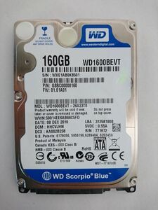 中古品★WESTERN DIGITAL(ウエスタンデジタル) ハードディスク HDD WD1600BEVT/160GB /SATA300 /5400 rpm/2.5インチ ★