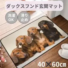 ダックスフンド 玄関マット　フロアマット ミニチュアダックスフンド バスマット