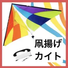 カイト デルタカイト 凧揚げ 大人 子供 ブルー 凧紐付 外遊び