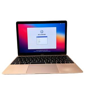 Apple MacBook 12インチ 2015 core m/512GB/8GB 充放電回数669回 動作確認済み 【現状品】 12405K427