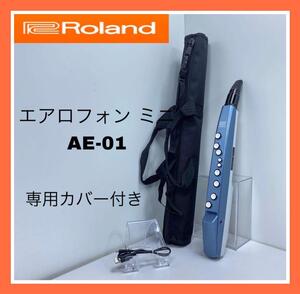 Roland　エアロフォン ミニ　AE-01　専用カバー付き