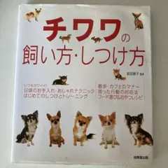 チワワの飼い方・しつけ方