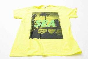 WIND AND SEA PALM TREE PHOTO Tシャツ イエロー 型番WDS-CS-118 タグ付 0713