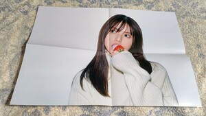 乃木坂46 齋藤飛鳥 写真集 ミュージアム showroom 配信特典 ポスター