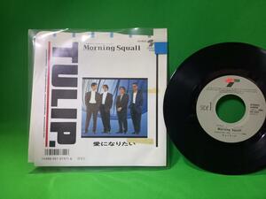 EP レコード チューリップ - Morning Squall