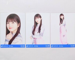 乃木坂46〈小川彩〉【カーゴパンツ】コンプ _ 山下美月 卒業コンサート グッズ 事前販売 会場 生写真 