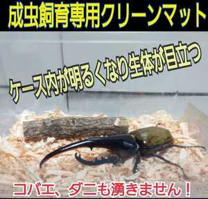 80L送料無料☆カブトムシ、クワガタの成虫飼育専用☆針葉樹クリーンマット☆ケース内が明るくなり生体が目立つ！ダニ、コバエも湧かない！