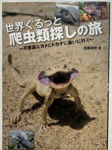 ☆本爬虫類《世界ぐるっと爬虫類探しの旅 加藤英明》クレイジージャーニー カメトカゲヘビ亀蜥蜴蛇勝