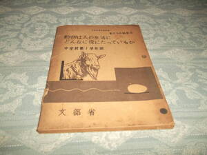 『教科書　私たちの科学６』（C050）