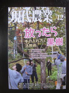 現代農業 2019.12 放ったら果樹 手の入れ方＆活用術