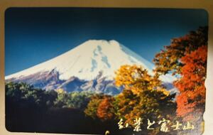 テレカ50度数紅葉と富士山