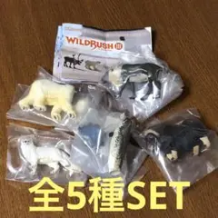 WILDRUSH Ⅲ ワイルド・ラッシュ 第3章 極地・北極圏編 全5種SET