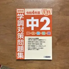 令4静岡県中2学調対策問題集