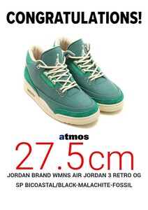 NIKE Nina Chanel Abney WMNS Air Jordan 3 Retro OG SP Bicoastal and Malachite　27.5センチ　ニーナ　ジョーダン3　アトモス