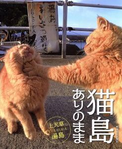 写真集 猫島ありのまま/熊本日日新聞社