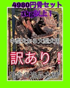 ★お買い得★ 中型犬〜大型犬におすすめ アウトレット 鹿骨 1kg 以上