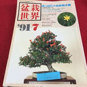 M5c-111 盆栽世界 7 あっぱれ小品盆栽主義 小品盆栽の達人たち 山モミジの寄せ植え考。黒松の展望 1991年7月1日発行