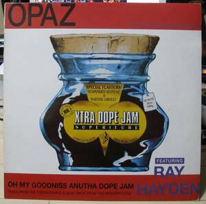 OPAZ feat. RAY HAYDEN / OH MY GOODNISS ANUTHA DOPE JAM