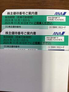 ANA 全日空株主優待券　２枚　2025年11月30日