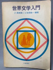 世界文学入門　高橋健二/吉田精一(文学博士)　小峯書店：1966年(昭和41)◆文芸論/文芸思潮朝/文芸書目/文芸年表/希少/文学本の紹介本