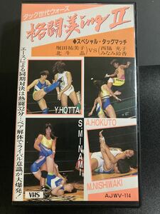 『全日本女子プロレス 格闘・美ingⅡ』女子プロレス VHSビデオテープ ▼ 西脇充子 みなみ鈴香 堀田祐美子 北斗晶 豊田真奈美 下田美馬