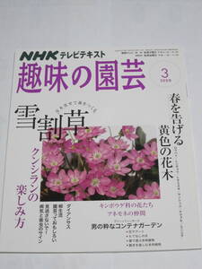 NHKテレビテキスト　趣味の園芸　2008年3月号　雪割草　クンシラン　ダイアンサス　黄色の花木　コンテナガーデン　柳生流園芸　病気と害虫