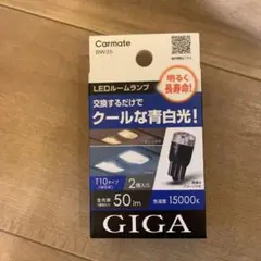 カーメイト GIGA ルームランプ BW35 T10タイプ 2個入り