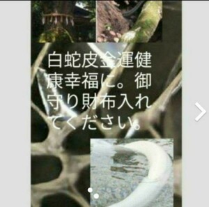 赤い目の弁財天化身白蛇皮お守り　金運　厄除け　恋愛成就　１つ１つ陰陽師作成　数量限定　効果あり売れております。