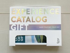 未使用　EXPERIENCE CATALOG GIFT 総合版カタログギフト　BLUE 定価6,270円