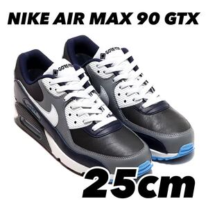 NIKE AIR MAX 90 GTX ナイキ エア マックス 90 GTX ANTHRACITE/PURE PLATINUM-OBSIDIAN dj9779-004 25cm