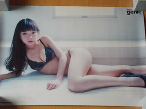 ★ 長澤茉里奈　ENTAME　genic　B2ポスター