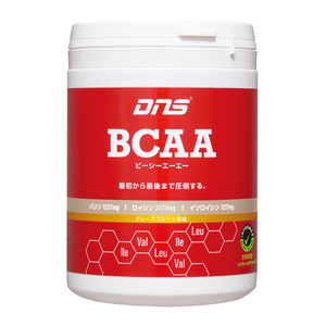 DNS BCAA200gパウダー×２個セット