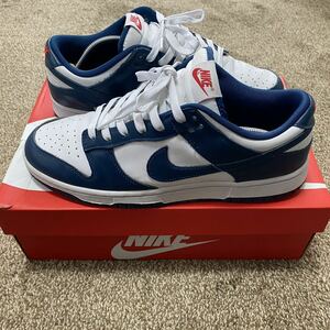 NIKE ナイキ ダンクロー バレリアンブルー DUNK LOW RETRO VALERIAN BLUE ヴァレリアンブルー 28.5cm US10.5 DD1391-400