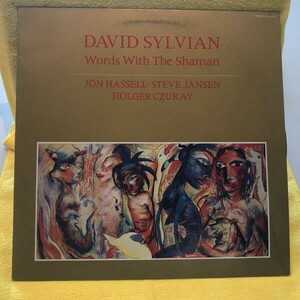 David Sylvian Words With The Shaman 12