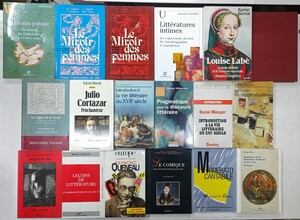 y0117-16.フランス文学 洋書まとめ/文学研究/文芸評論/批評/小説/詩/ルイーズ・ラベ/モーリス・セーヴ/ルネサンス/レーモン・クノー 