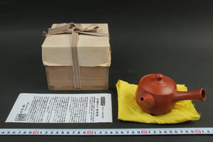 6729 新品同様 常滑 名工 井上素三 朱泥 竹節型 急須 煎茶道具 茶注 栞 黄布 木箱