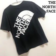 THE NORTH FACE ザノースフェイス 半袖 Tシャツ デカプリントロゴ