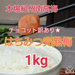 本場紀州高完熟梅 みなべ産チョコット訳あり★はちみつ完熟梅 1kg(塩分8%)