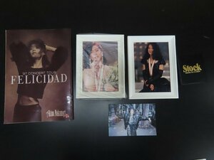 ◇Y237/中森明菜 グッズ まとめ売り/FELICIDAD ツアーパンフレット/アドレス帳/写真立て/1円～