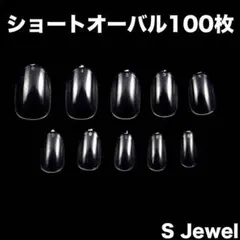 ショートオーバル☆100枚☆クリアネイルチップ☆ネイルチップ☆クリア☆透明h