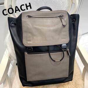 ☆未使用品☆COACH マンハッタン パックパック レザー 71989