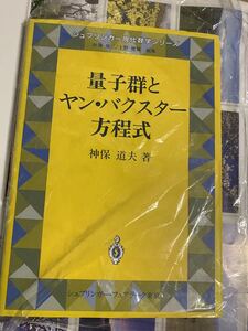 量子群とヤングバスター方程式　書き込み無し　シュプリンガークラフトジャパン