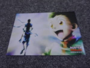 ハンターハンター　HUNTER×HUNTER　生ブロマイド　ゴン　A33-10