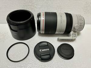 Canon EF 100-400mm F4.5-5.6L IS Ⅱ USM