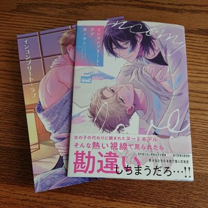 極美品☆インコンプリート・ラブ/桃ノ季子/BL 漫画/アニメイト特典リーフレット 帯付き☆やや厚め