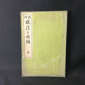 大正期 和本 ★ 挿絵入『 図解 盛花と水揚 全 』大正6年 橋本墨花/著 前田文進堂 ★　　　いけばな挿花華道花道茶道春夏秋冬草木古写真A404